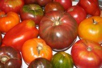 /album/fotogaleria/heirloom-tomatoes-jpg/