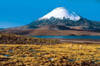 /album/fotogaleria/altiplano111-jpg/