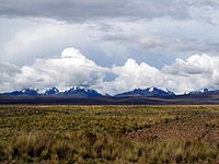 /album/fotogaleria/a200px-altiplano-jpg/