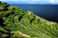 /album/peru/lake-titicaca-13-jpg2/