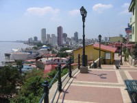 /album/ecuador/ecuadorguayaquil29ox0-jpg/