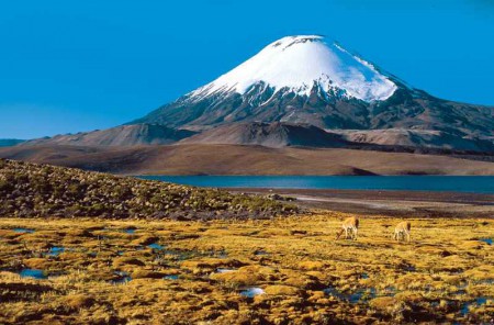 Altiplano1