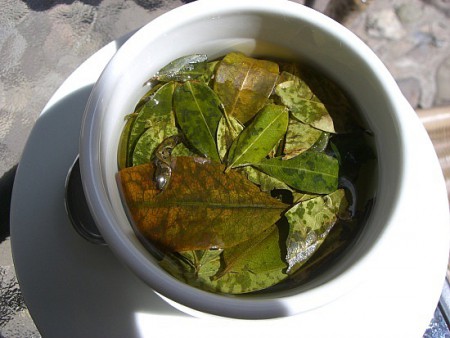 Infusión de hojas de coca para soportar la altitud