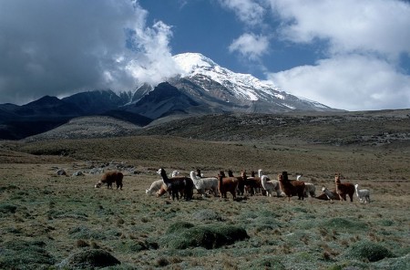 Chimborazo